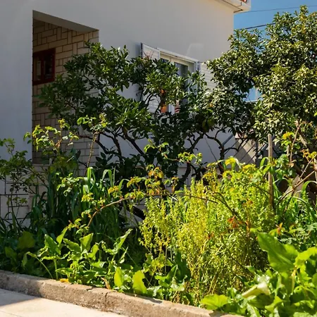 Villa House Our By Guide Vela Luka